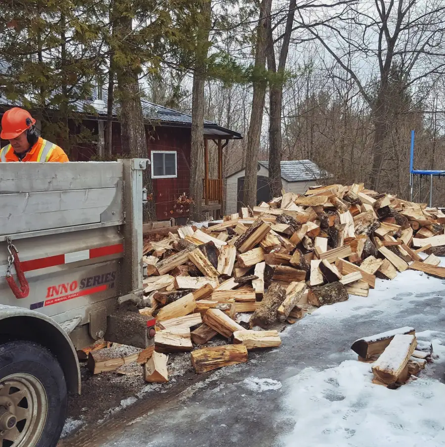 Fresh cord of firewood just delivered and dumped — needs at least six months to season before burning